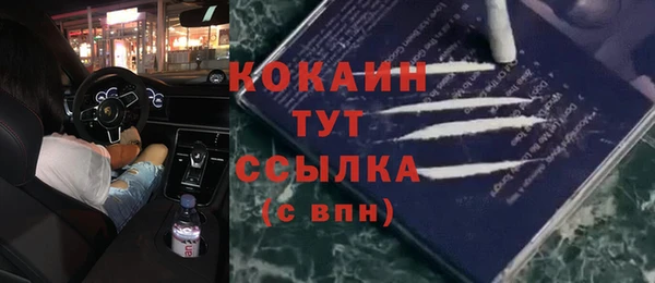 прущие грибы Осташков