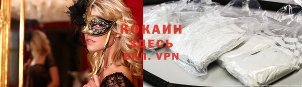 прущие грибы Осташков