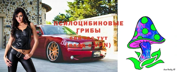 соль ск Осинники