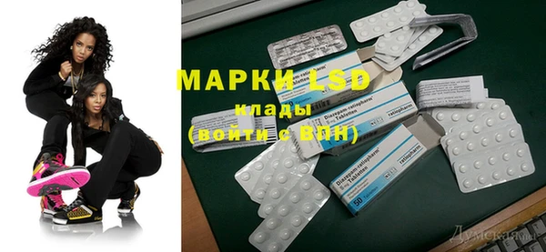 прущие грибы Осташков