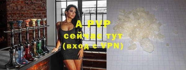 прущие грибы Осташков