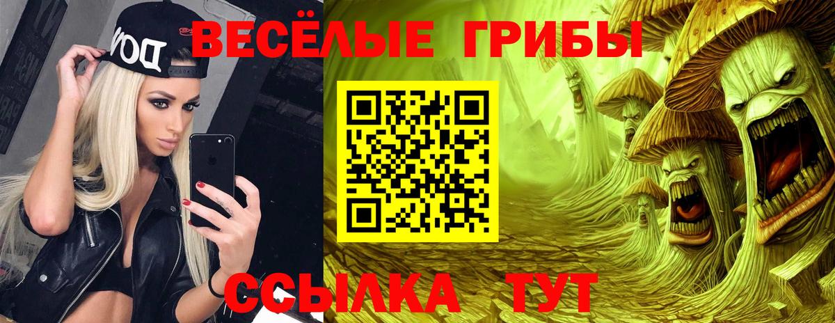Галлюциногенные грибы прущие грибы Рассказово