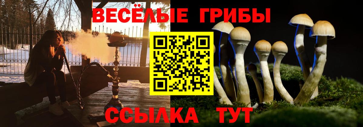 Псилоцибиновые грибы Cubensis  Вход с VPN  Рассказово 